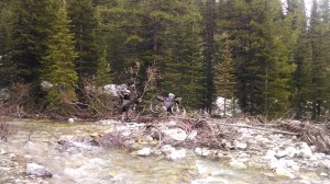 IMG_20140614_171016531