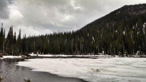 IMG_20140616_151851913_HDR