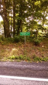 IMG_20140823_111850391