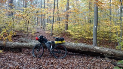 IMG_20171103_155632494