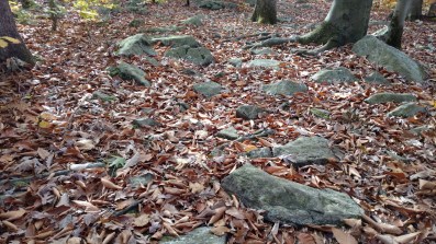 IMG_20171104_102325317